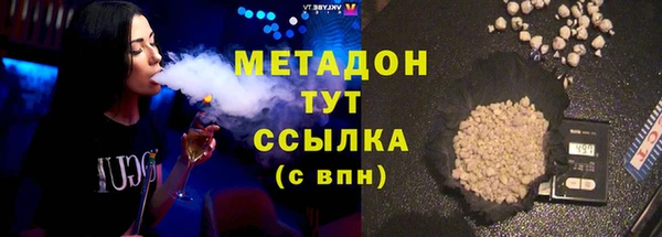 прущие грибы Ельня