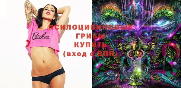 кокс Елизово
