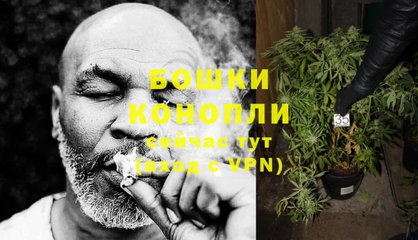 мяу мяу мука Елабуга