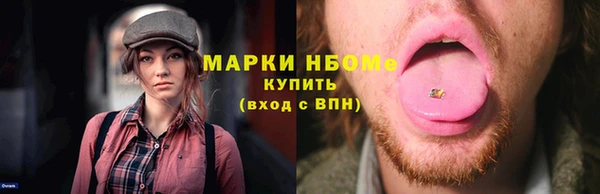 прущие грибы Ельня