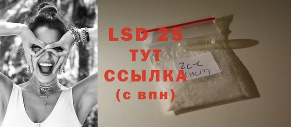 прущие грибы Ельня