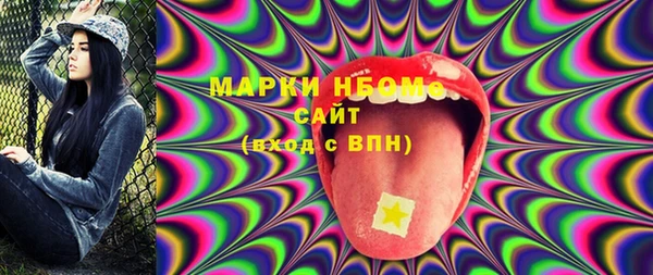 прущие грибы Ельня