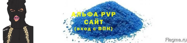 прущие грибы Ельня