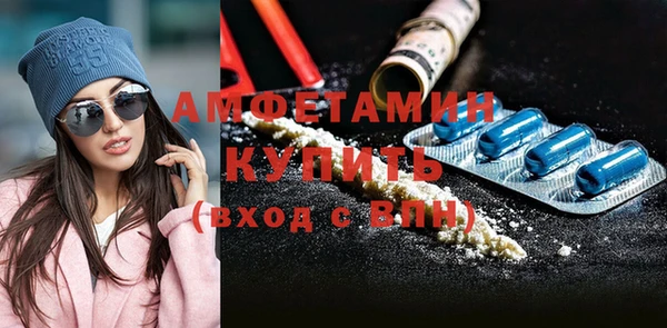 прущие грибы Ельня