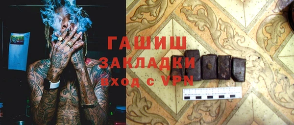 прущие грибы Ельня