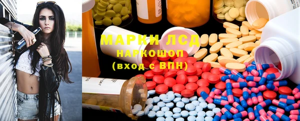 прущие грибы Ельня
