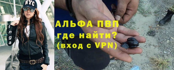 мяу мяу мука Елабуга