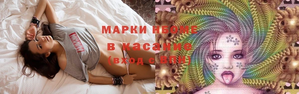 кокс Елизово