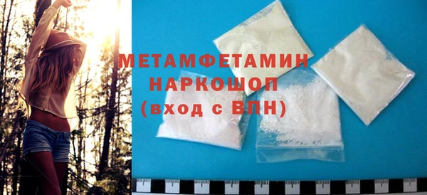 прущие грибы Ельня
