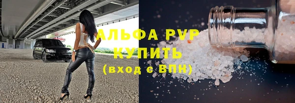 стаф Дмитровск