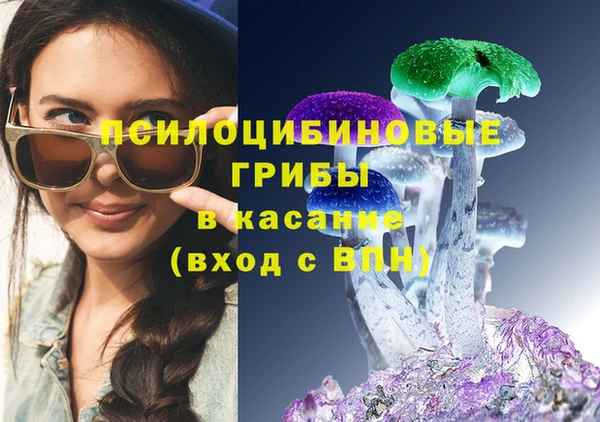 кокс Елизово