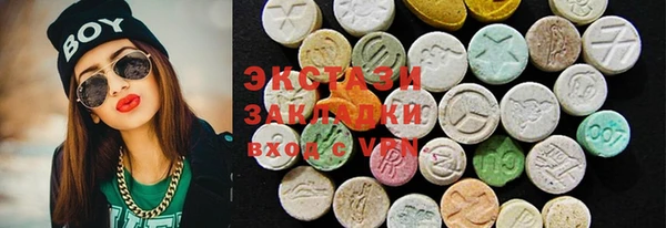 прущие грибы Ельня