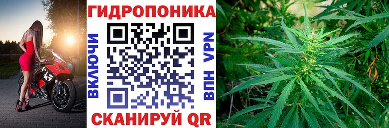 дарнет шоп  Кадников  shop как зайти  Марихуана гибрид 